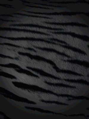 CLUB虎の穴 青山店